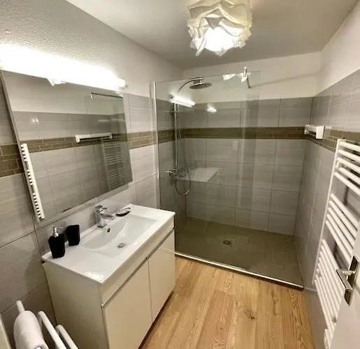 Le Saint Gimer - Vue Sur La Cite Medievale - Climatisation Lejlighed *