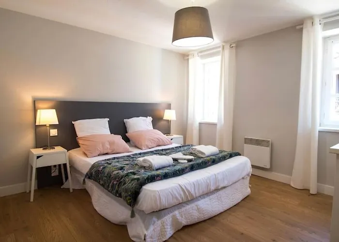 Apartament Le Saint Gimer - Vue Sur La Cite Medievale - Climatisation